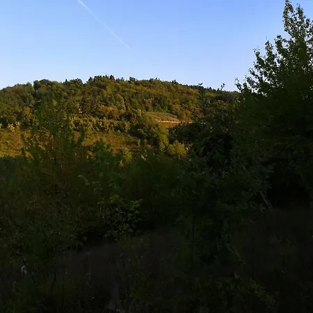 Фермерский дом Tenuta I Ginepri