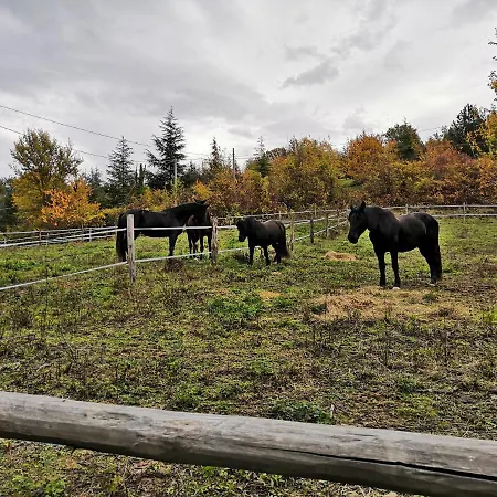 Farm stay Tenuta I Ginepri