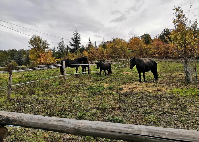 Farmház Tenuta I Ginepri